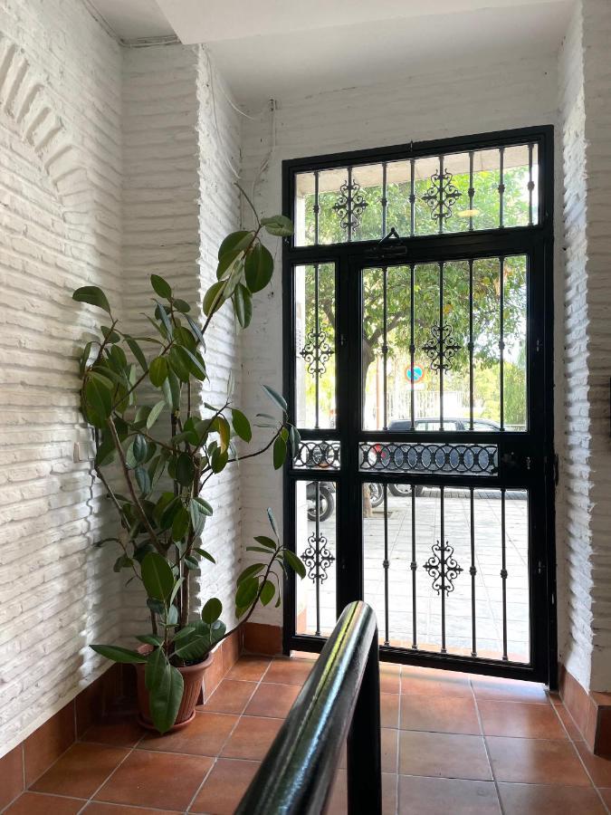 Selva La Bella. En El Corazon De Triana Apartment Seville Ngoại thất bức ảnh