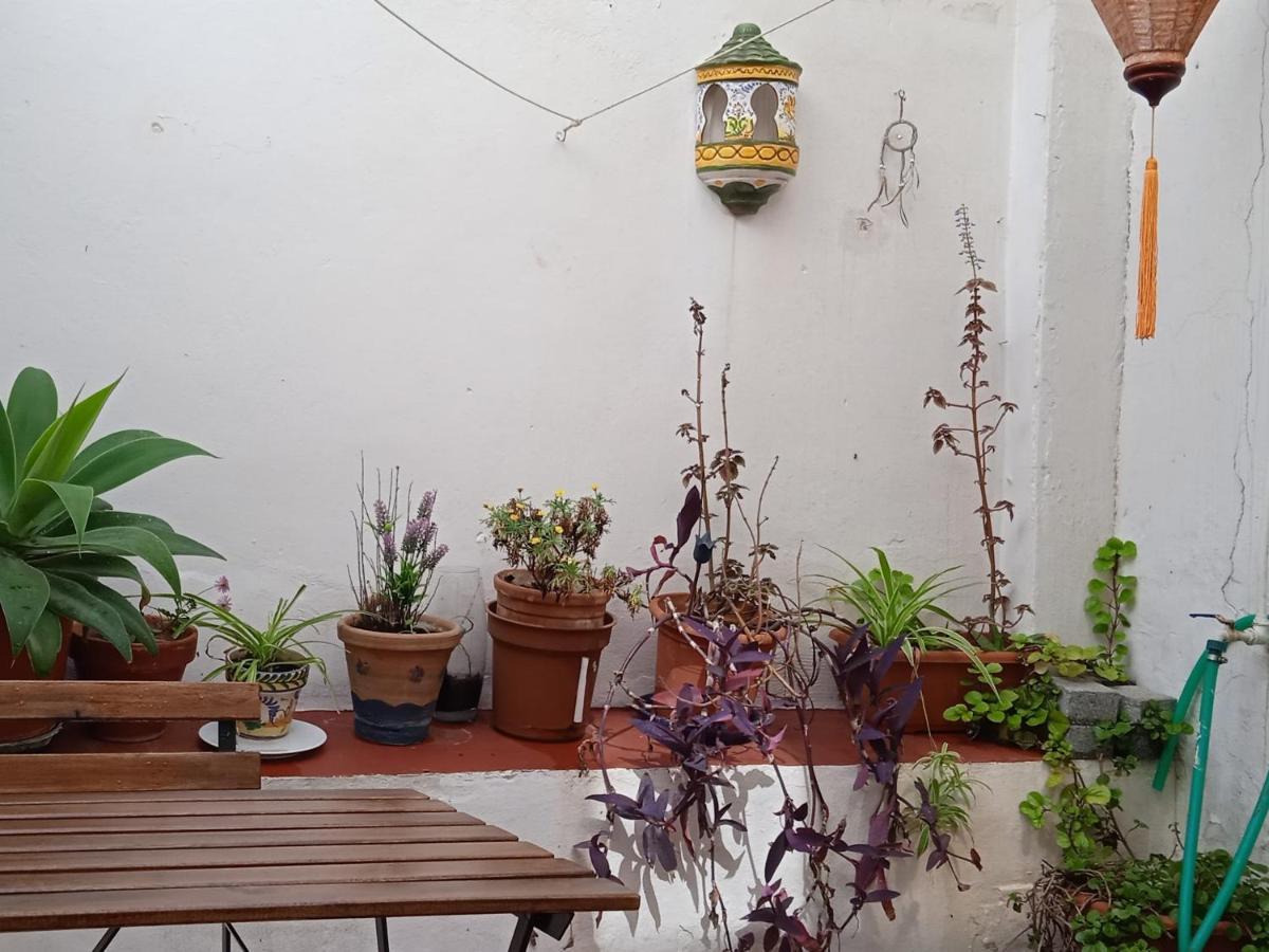 Selva La Bella. En El Corazon De Triana Apartment Seville Ngoại thất bức ảnh